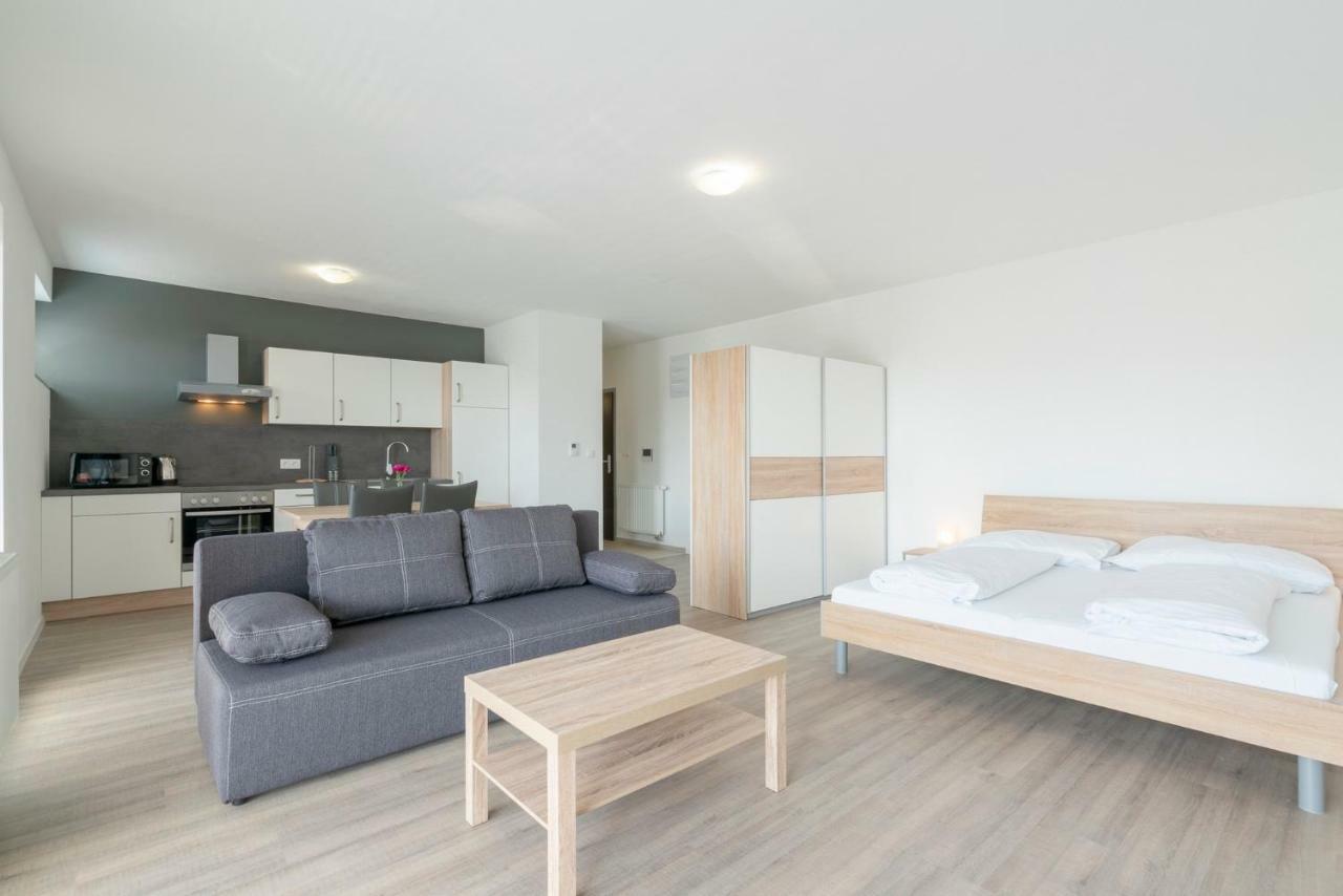 Trenčín Apartmany Noviny מראה חיצוני תמונה